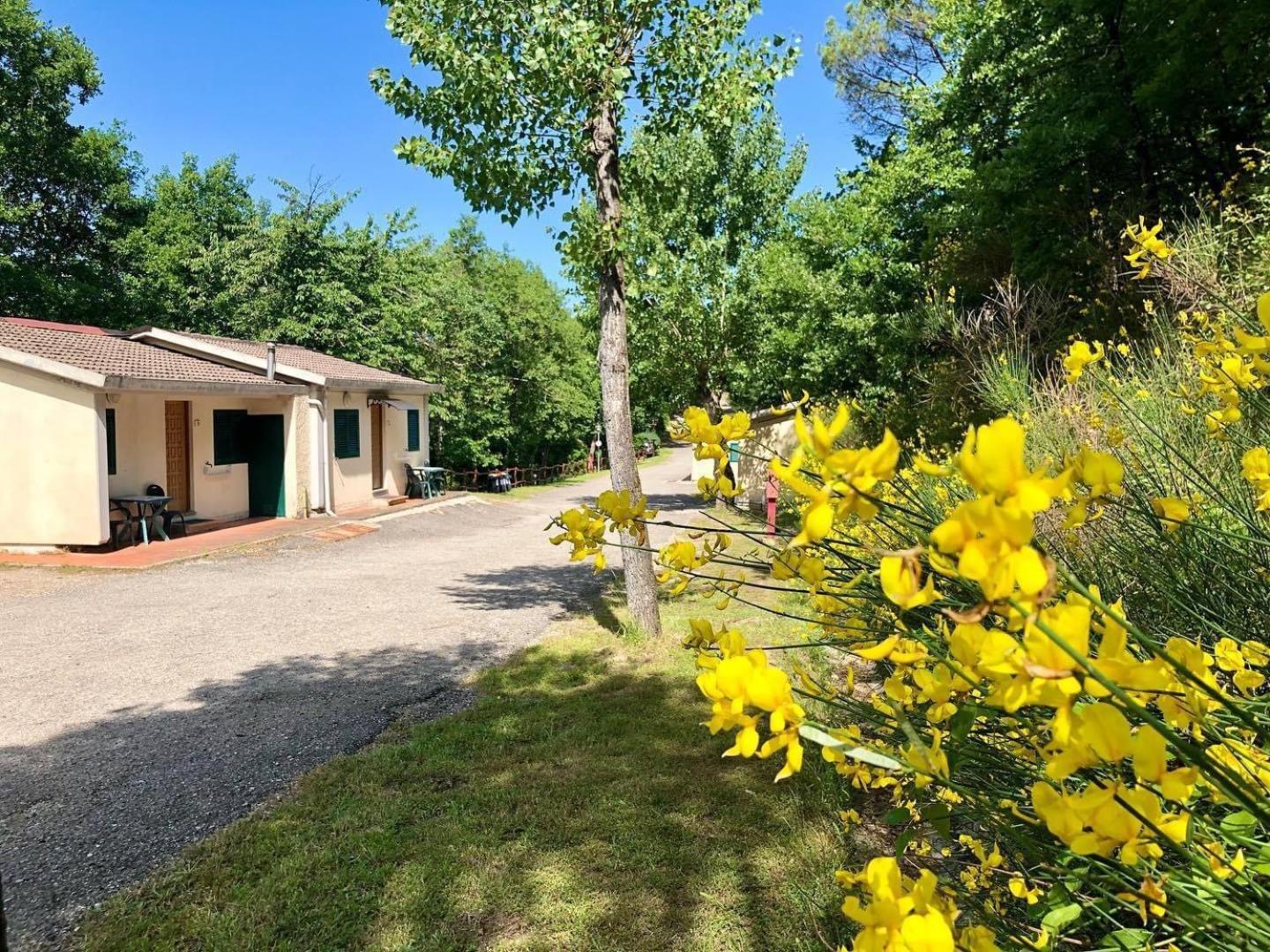 Camping Village Mugello Verde San Piero a Sieve Ngoại thất bức ảnh