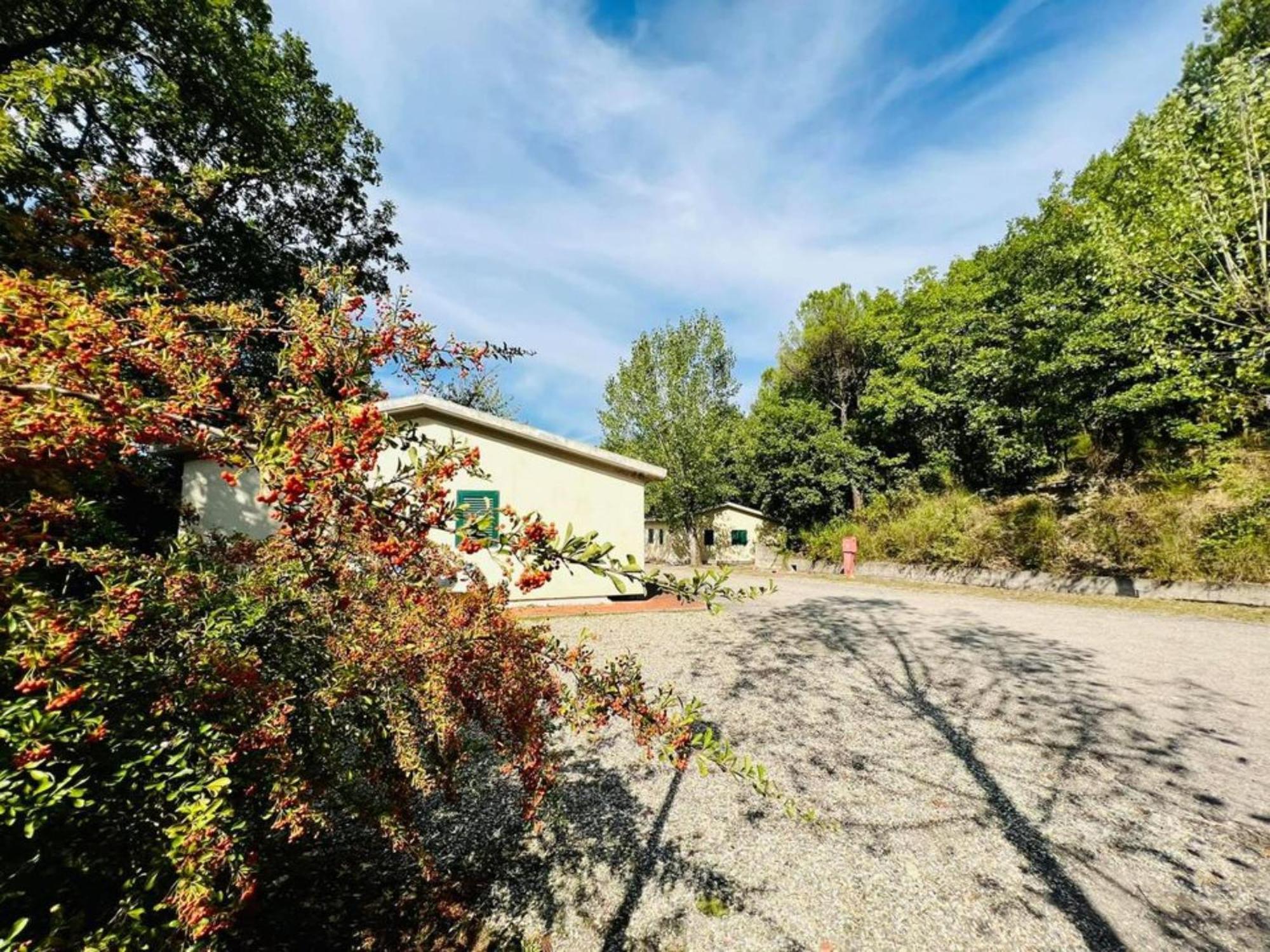 Camping Village Mugello Verde San Piero a Sieve Phòng bức ảnh